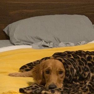 Meet your Posher, Carson